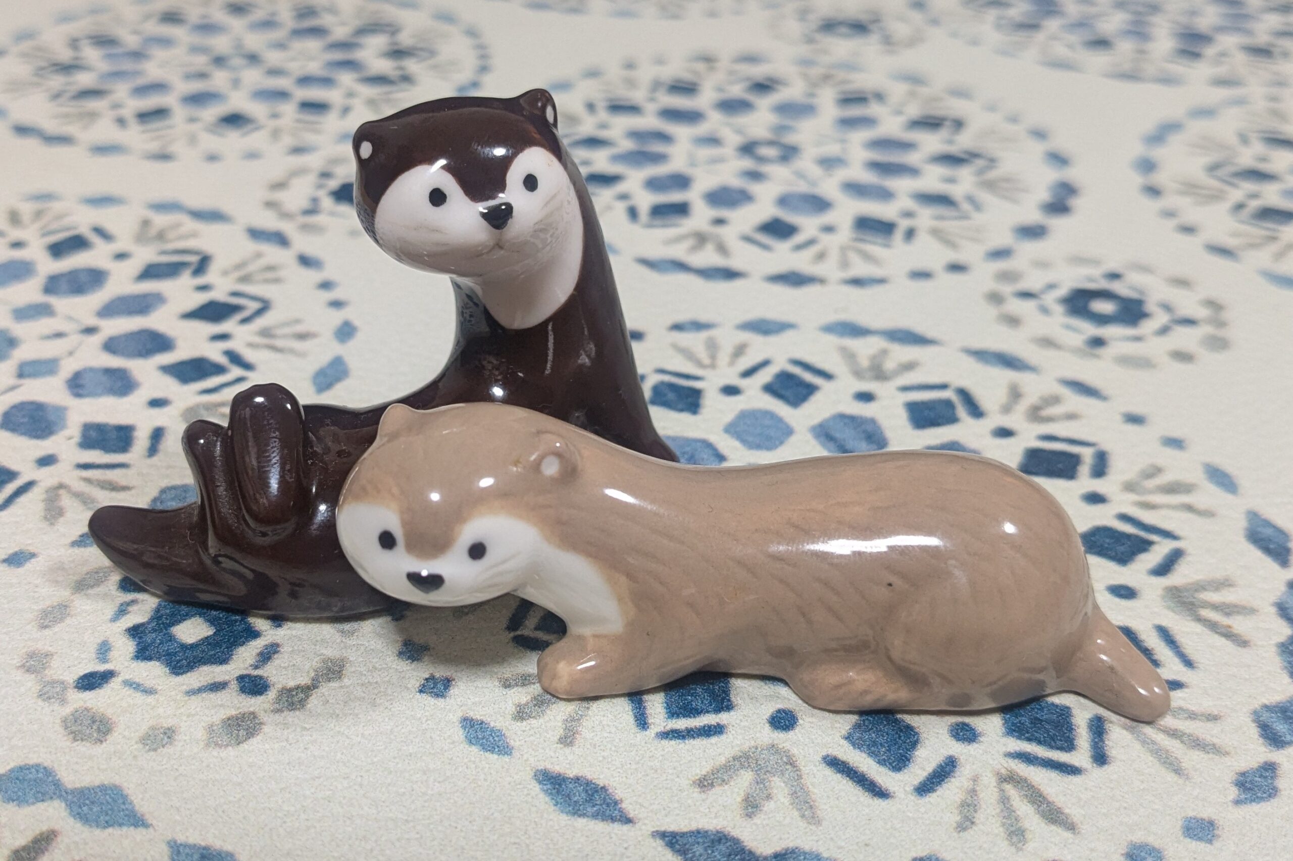 家のカワウソたち